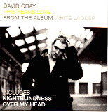 David Gray - This Years Love